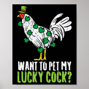 Póster Quiero acariciar mi regalo divertido del día de Sa