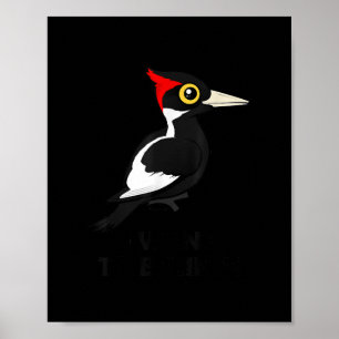 Póster Quiero creer en Birdorab, el pecador de madera con