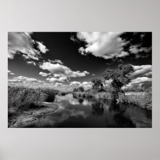 Póster Quiescencia de Kruger