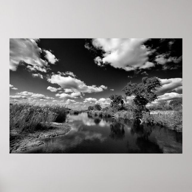 Póster Quiescencia de Kruger (Frente)