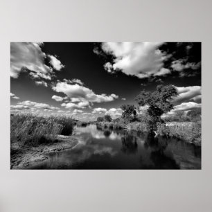 Póster Quietud de Kruger