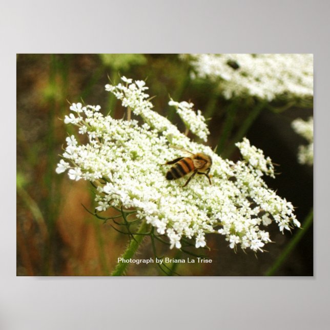 Póster Química (Frente)