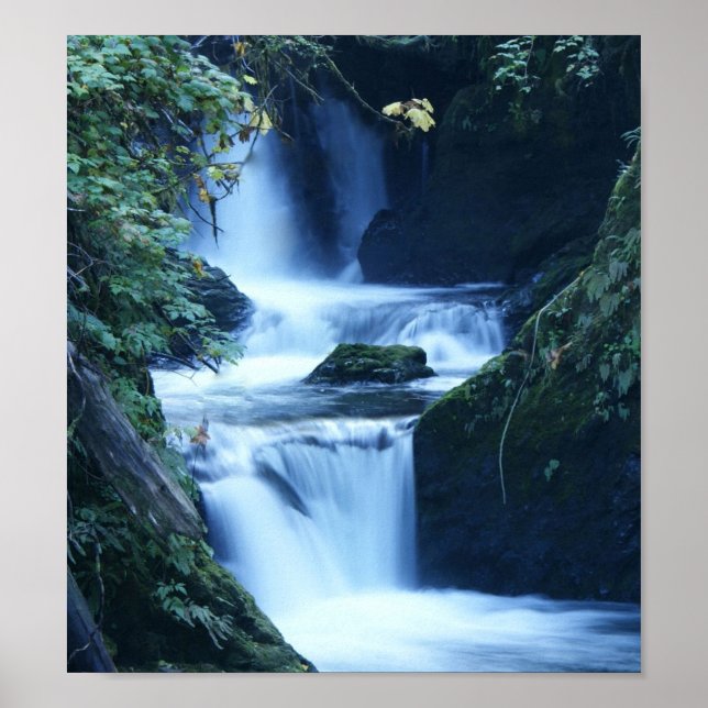Póster Quinalt Waterfall Canvas Print (Frente)