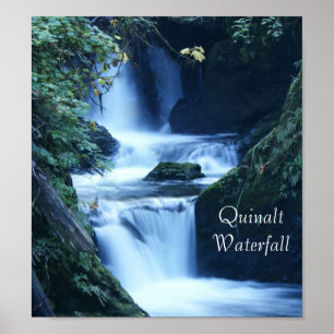 Póster Quinalt Waterfall Poster