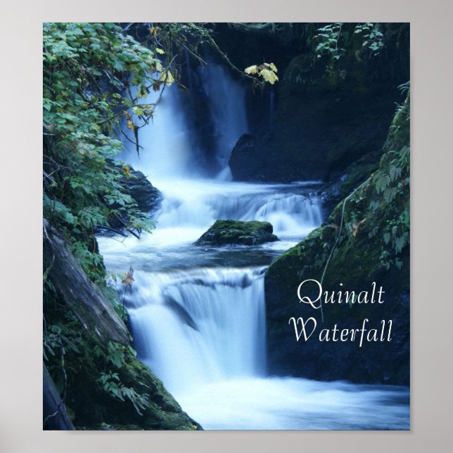 Póster Quinalt Waterfall Poster (Frente)