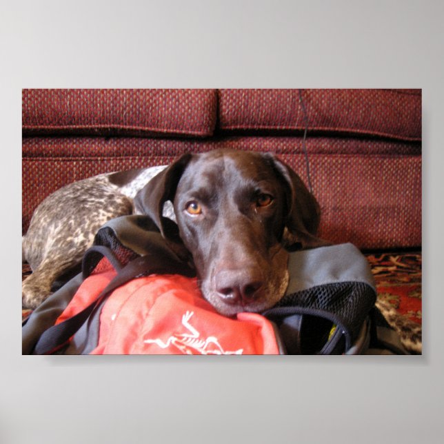 Póster Quincy (Frente)