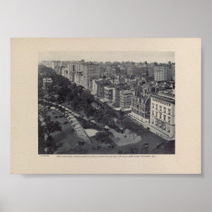 Póster Quinta Avenida, Calle 59, Central Park, Millionair