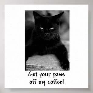 Póster ¡Quita Tus Papas De Mi Café! Funny Cat Poster