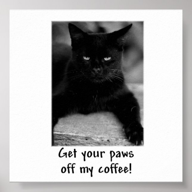 Póster ¡Quita Tus Papas De Mi Café! Funny Cat Poster (Frente)