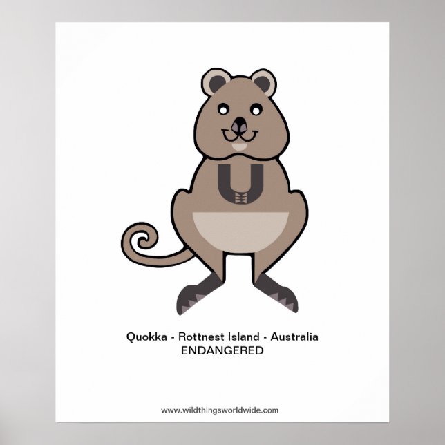 Póster Quokka - poster (Frente)
