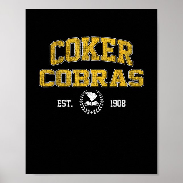 Póster R College Cobras Arch Retro Para Hombres (Frente)