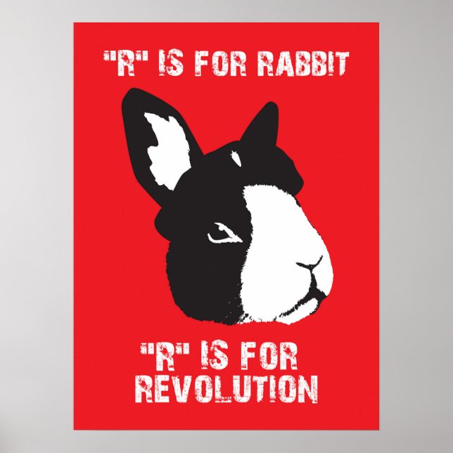 Póster R es para (Frente)