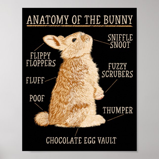 Póster Rabbit Anatomy Bunny Lover Animal Pet Owner  (Frente)