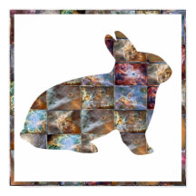 RABBIT : Diseño gráfico