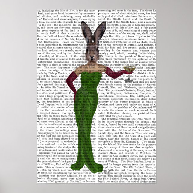 Póster Rabbit Green Dress (Frente)