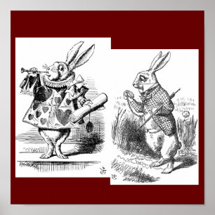 Póster Rabbit Poster