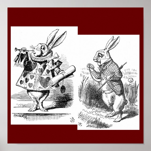 Póster Rabbit Poster (Frente)