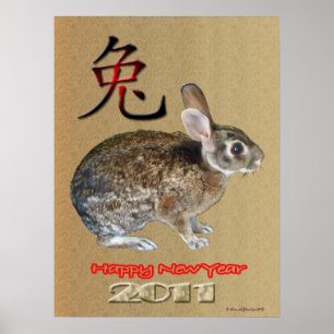 Póster Rabbit Year 2011