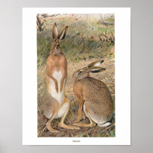 Póster Rabbits in the Field Print