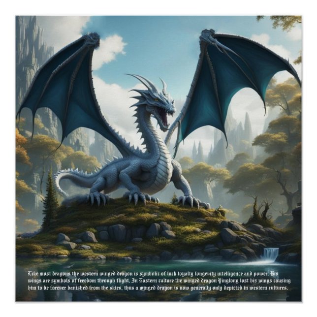 Póster Rabia del dragón (Anverso)