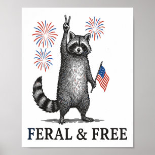 Póster Raccón Feral Y Gratuito, Raccoon Gracioso 4 De Jul