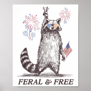 Póster Raccón Feral Y Gratuito, Raccoon Gracioso 4 De Jul