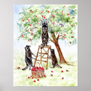 Póster Racconones escudos en el huerto de Apple