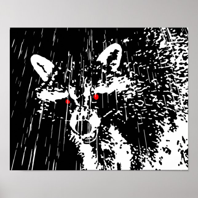 Póster Raccoon (Frente)