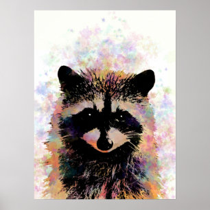 Póster Raccoon 27