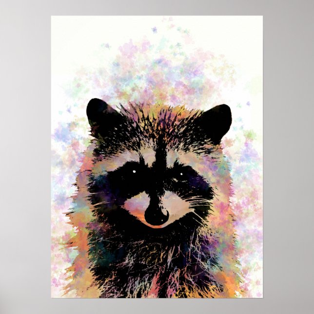Póster Raccoon 27 (Frente)
