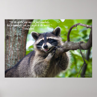 Póster Raccoon and Encouragement