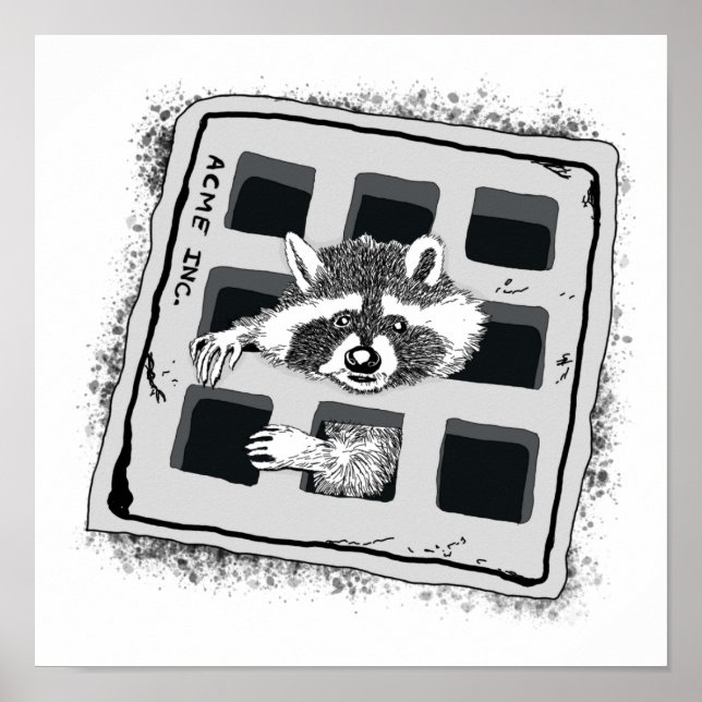 Póster Raccoon atascado en el Ilustracion Grate (Frente)