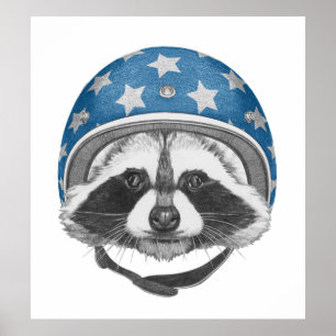 Póster Raccoon Daredevil