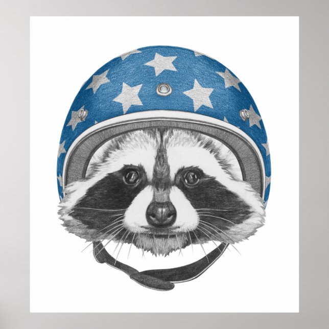 Póster Raccoon Daredevil (Frente)
