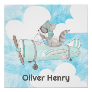 Póster Raccoon del piloto del avión