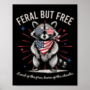 Póster Raccoon Feral Pero Gratuito 4 De Julio Ee.Uu. Patr