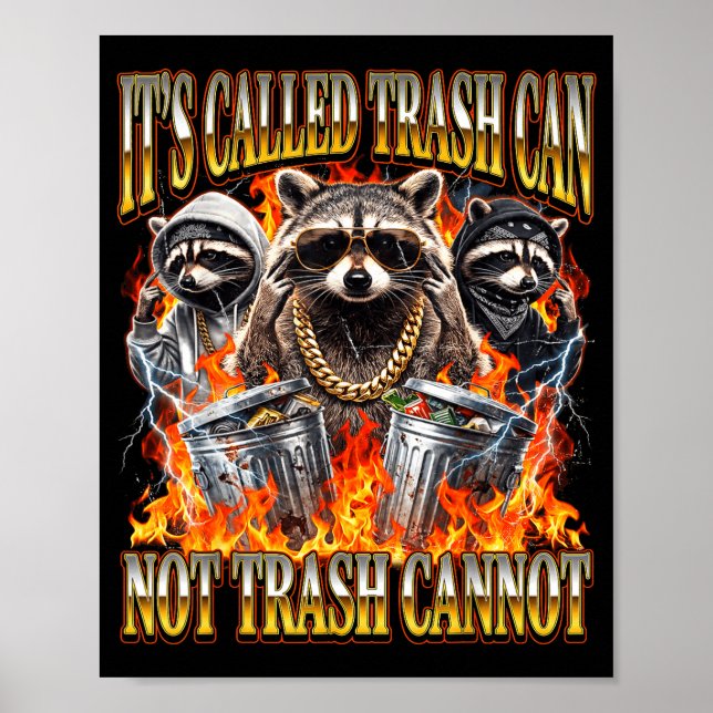 Póster Raccoon It's Called Trash Can Not Trash Cannot Fun (Frente)