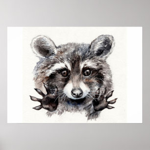 Póster Raccoon Lover Lovely Baby Raccoon