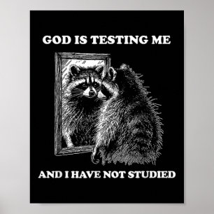 Póster Raccoon Meme Divertido Dice Que Dios Me Está Proba