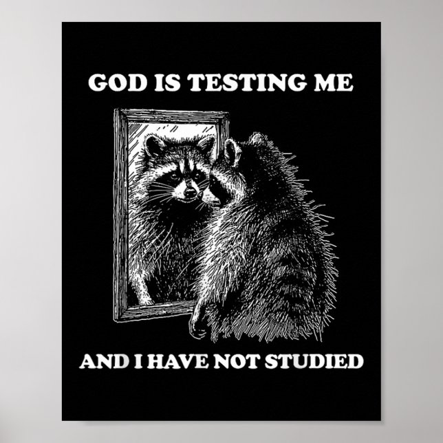 Póster Raccoon Meme Divertido Dice Que Dios Me Está Proba (Frente)