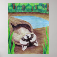 Raccoon Poster