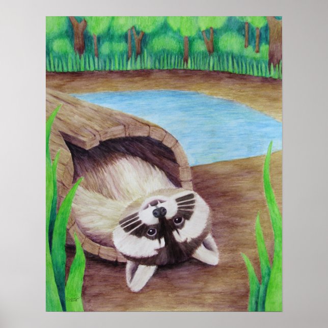 Póster Raccoon Poster (Frente)