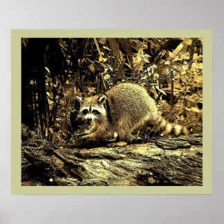 PÓSTER RACCOÓN ROCO SENTADO EN UN ÁRBOL
