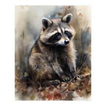 Raccoon Woodland Animal Art Print Poster