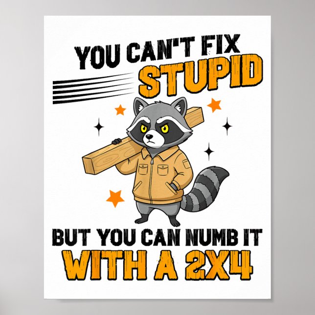 Póster Raccoon You Can't Fix Stud But You Can Numb It Wit (Frente)