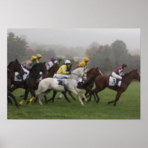 Póster Race Horse Poster Print