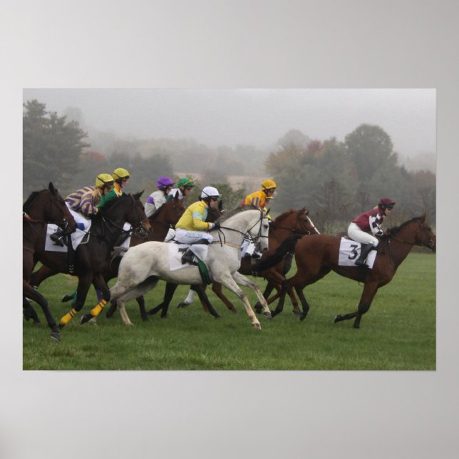 Póster Race Horse Poster Print (Frente)