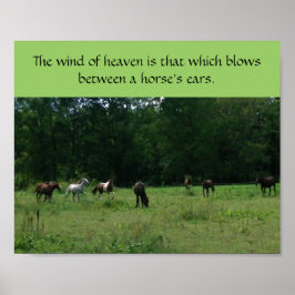 Póster Race Horse Rescue Support Poster