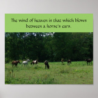 Póster Race Horse Rescue Support Poster