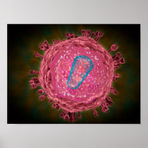 Póster Racimo del virus 2 del VIH